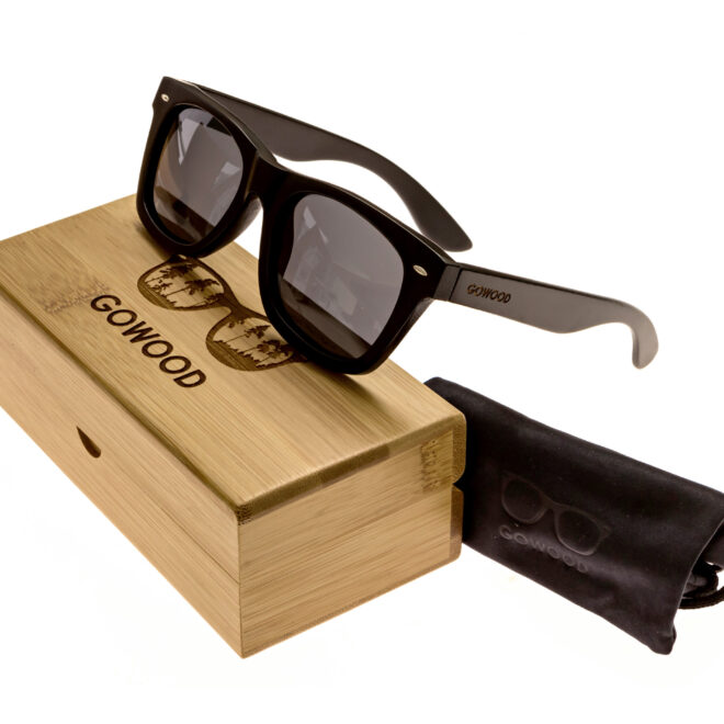 wayfarer style sunglasses black set