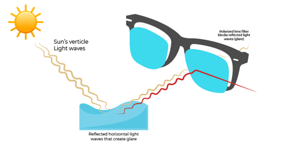 diagram of how polarized sunglasses work, showing how polarized sunglasses work by blocking reflected light waves