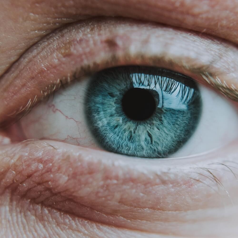 vertical close-up of an elderly human's light blue eye