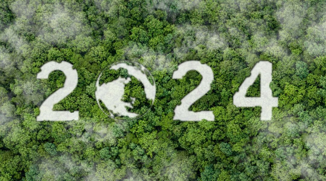 An aerial view of a tropical rainforest, symbolizing the importance of protecting nature in the new year 2024