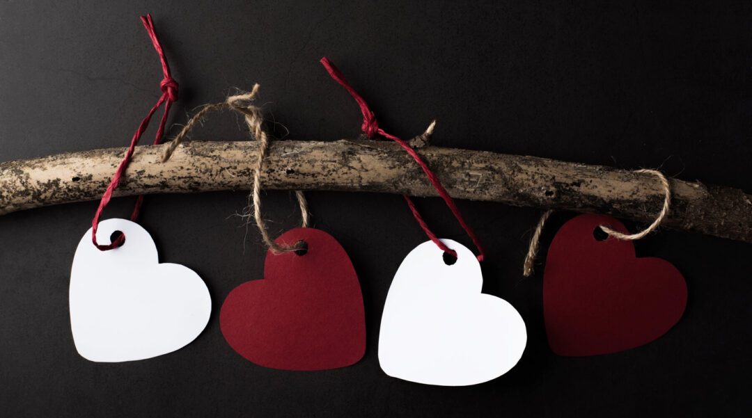 Wooden branch with red and white paper hearts hanging from it, represents a gift of wooden watches for Valentine's Day, as wooden watches are a popular gift for this occasion