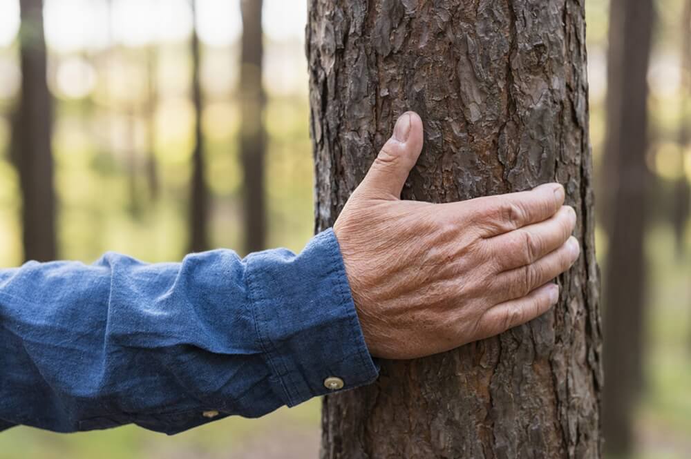 An older man holding a tree highlights how trees are essential pillars of life on earth